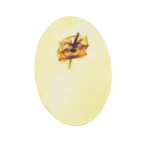 Die Struck Antique Lapel Pin 3