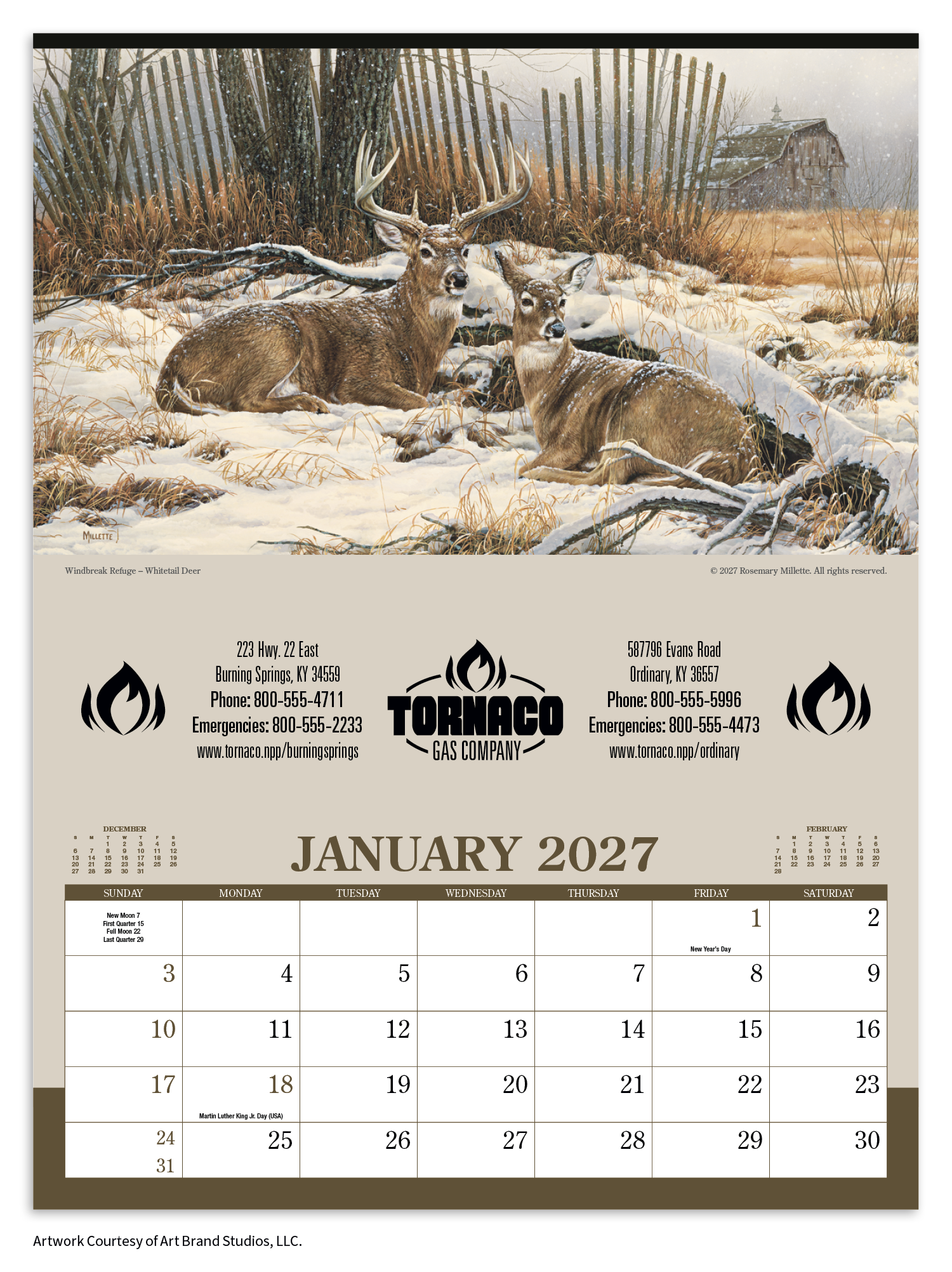 Triumph® Calendars Wildlife Art Calendar 37