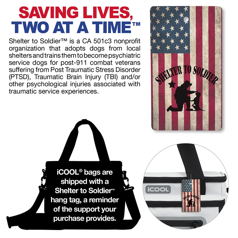 iCOOL® Vail 24-Can Cooler Bag 24