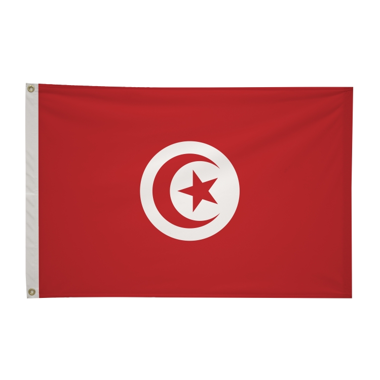 2' x 3'International Flag 181