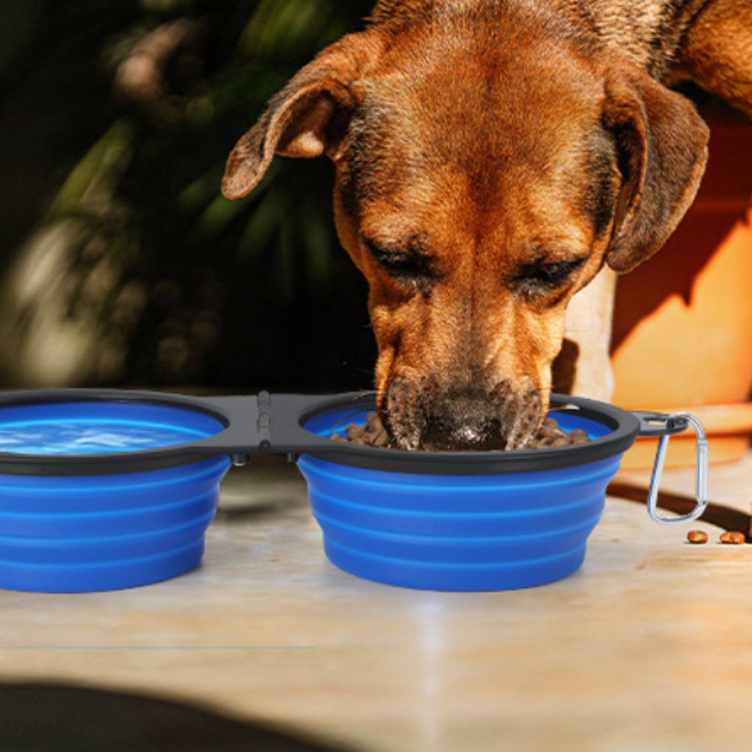 Lightweight Portable Collapsible Dual Pet Bowl 8