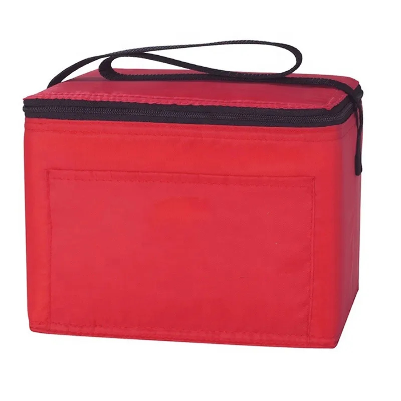 Insulated Cooler Bag 9