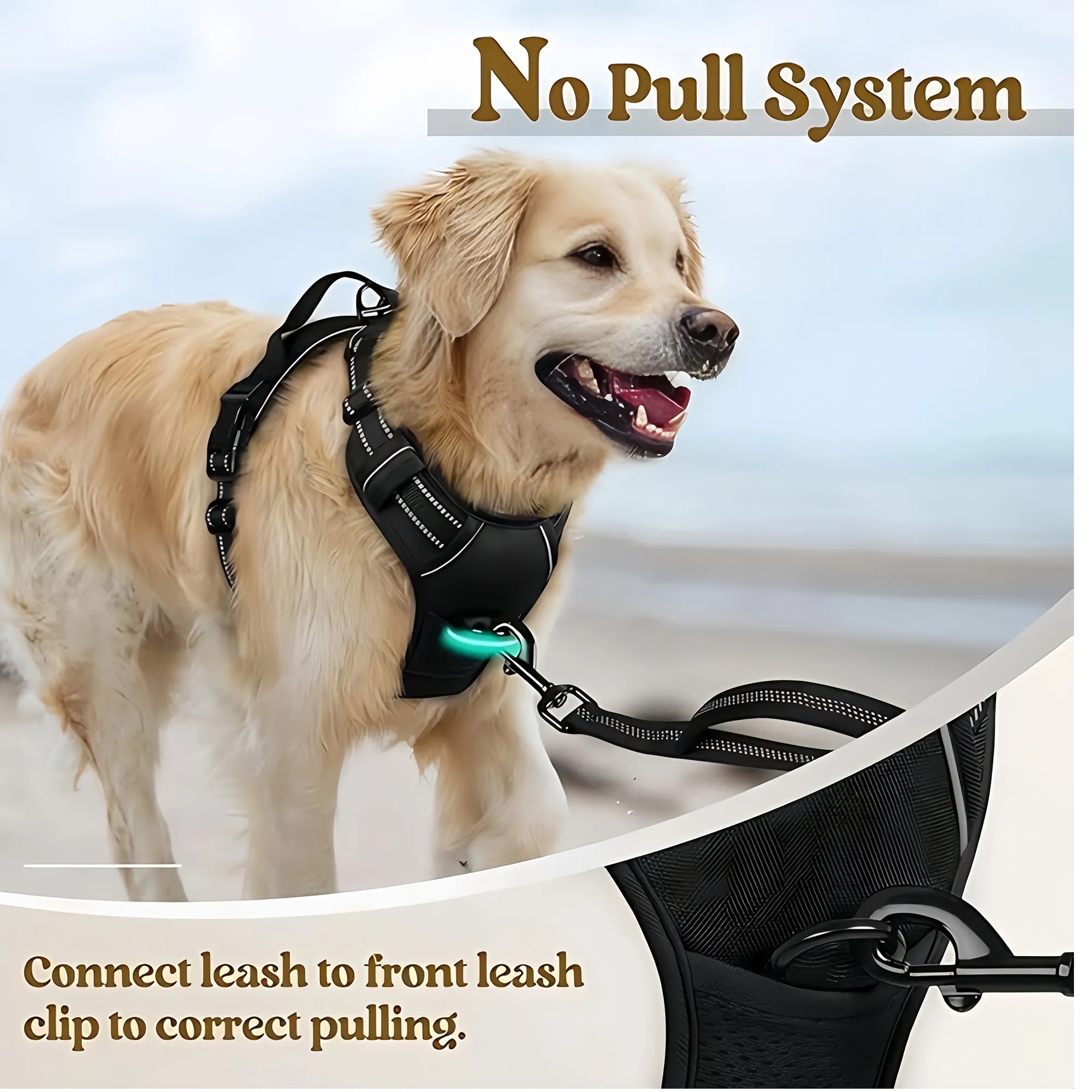 Adjustable Dual Reflective Dog Harness Vest Leash Set 8