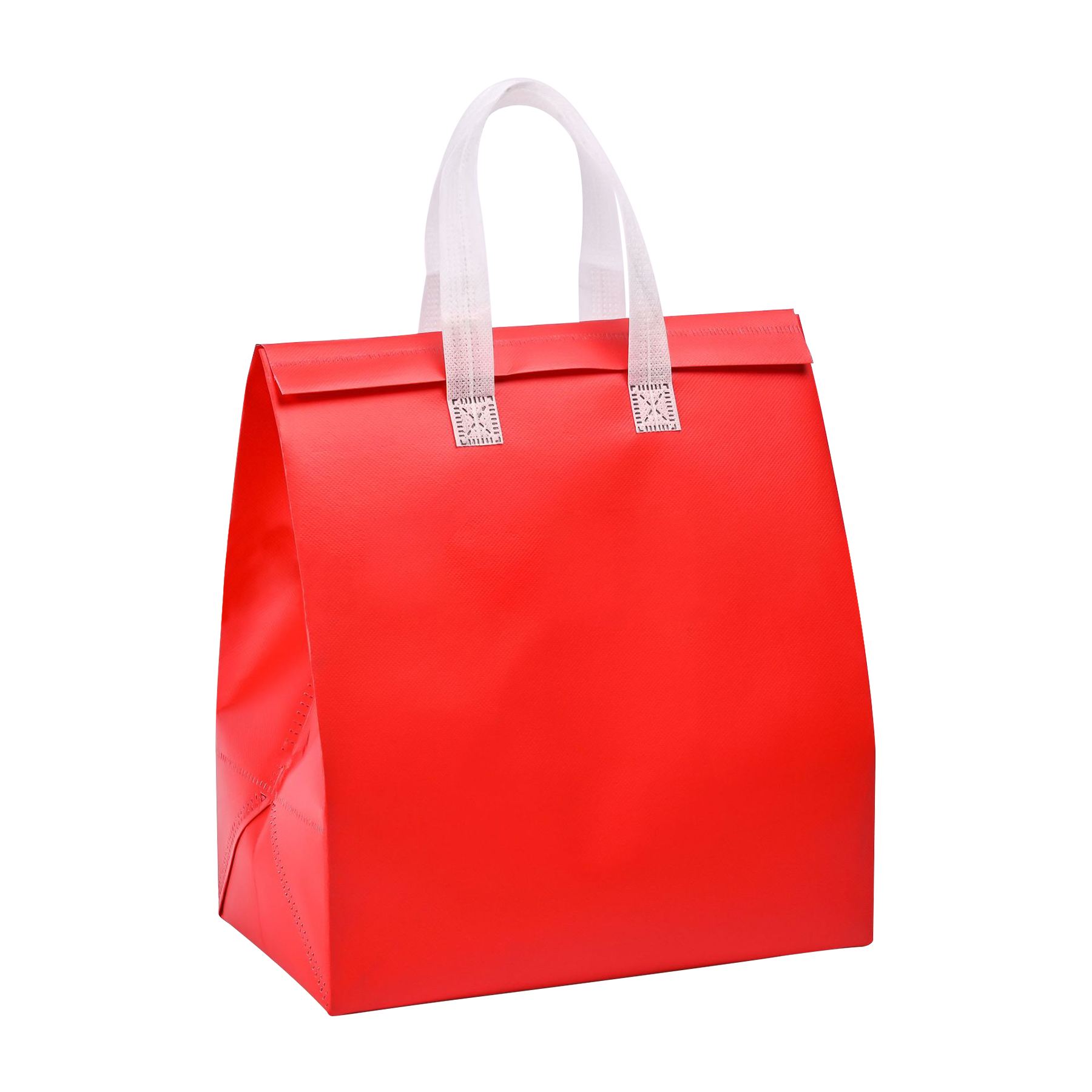 Aluminum Foil Insulated Bag 9