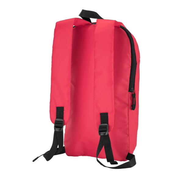 Budget Backpack 49