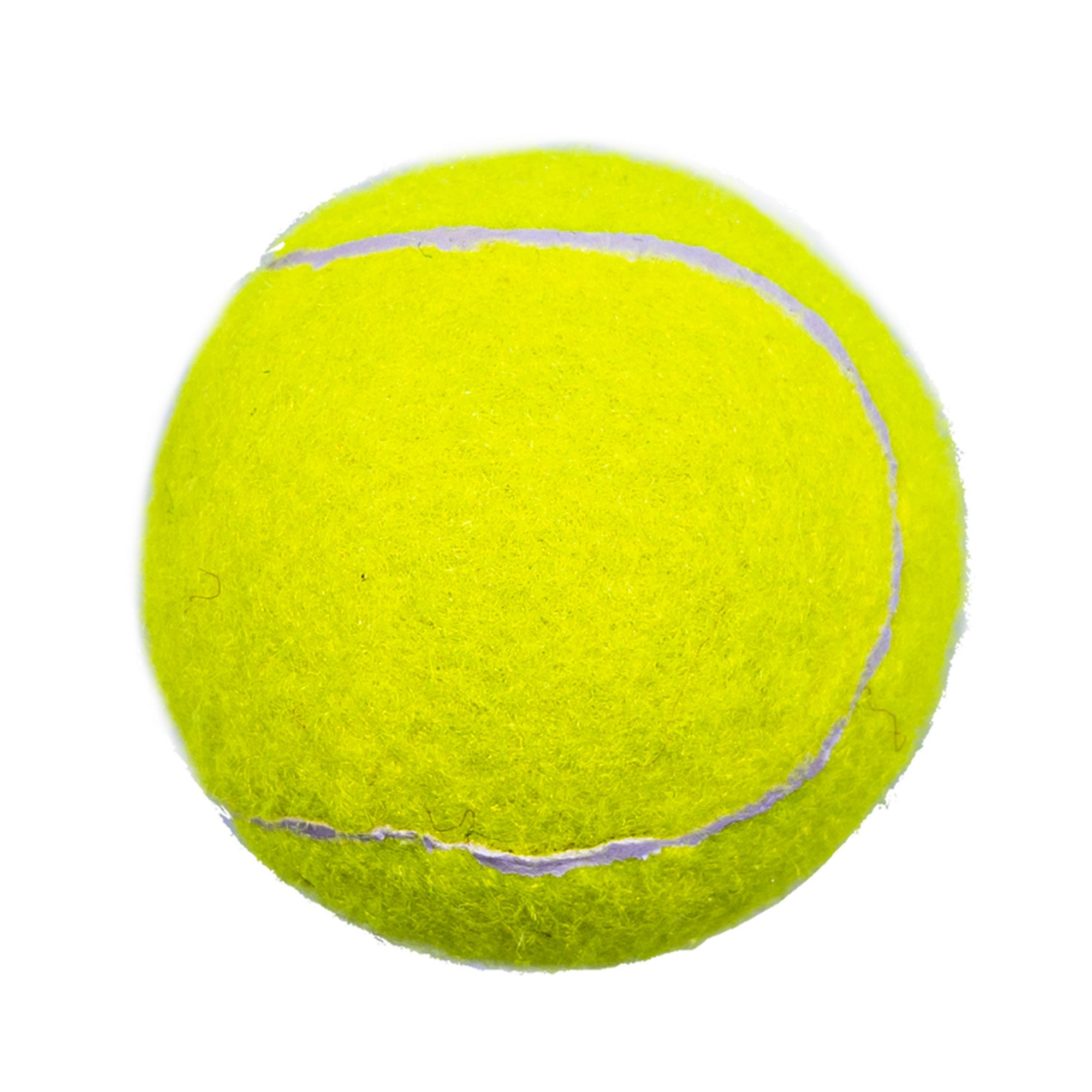 Durable Pet Fetch Toy Tennis Ball Outdoor Fun Dog Exercise 8