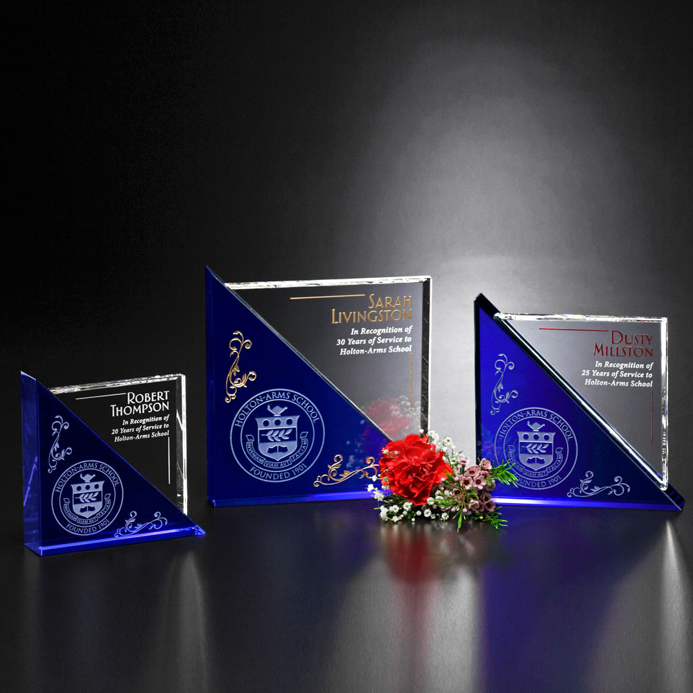 Acclaim Award 7