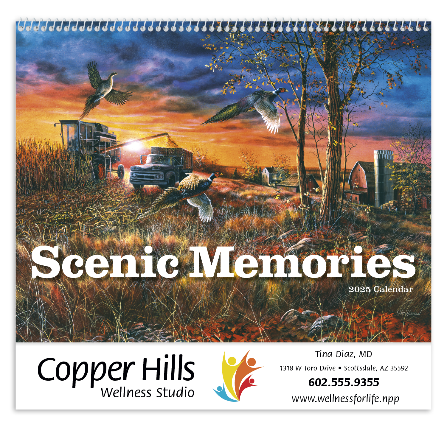 Good Value™ Scenic Memories - Spiral Calendar 3