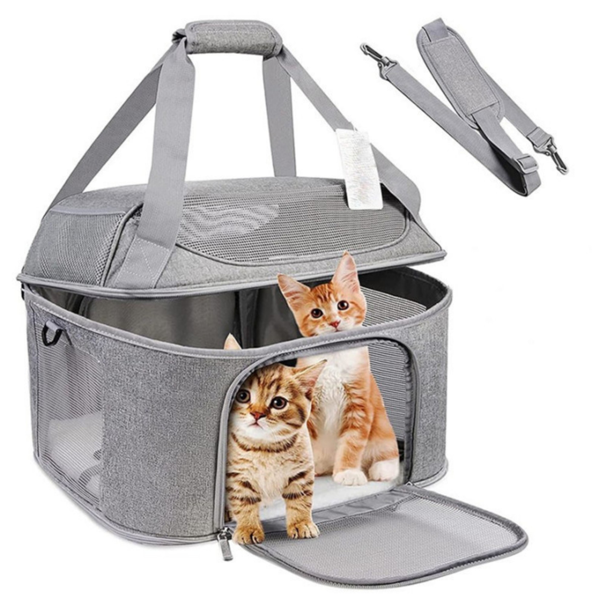 Large Cat Carrier For 2 Cats 5
