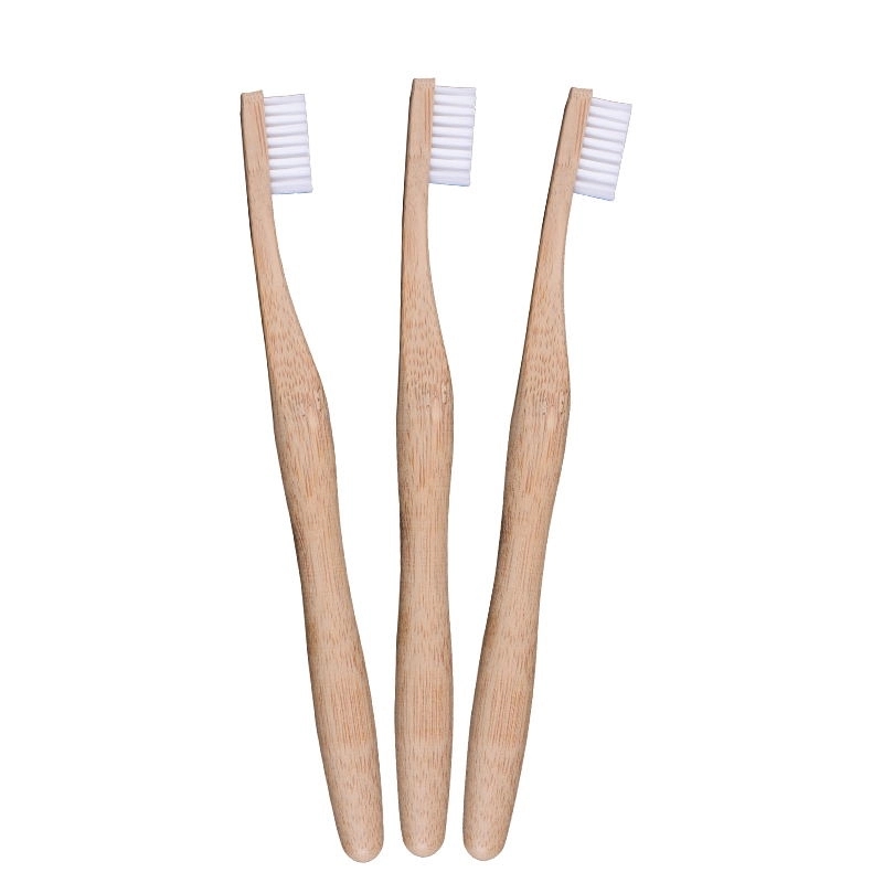Eco Bamboo Toothbrush with case 1