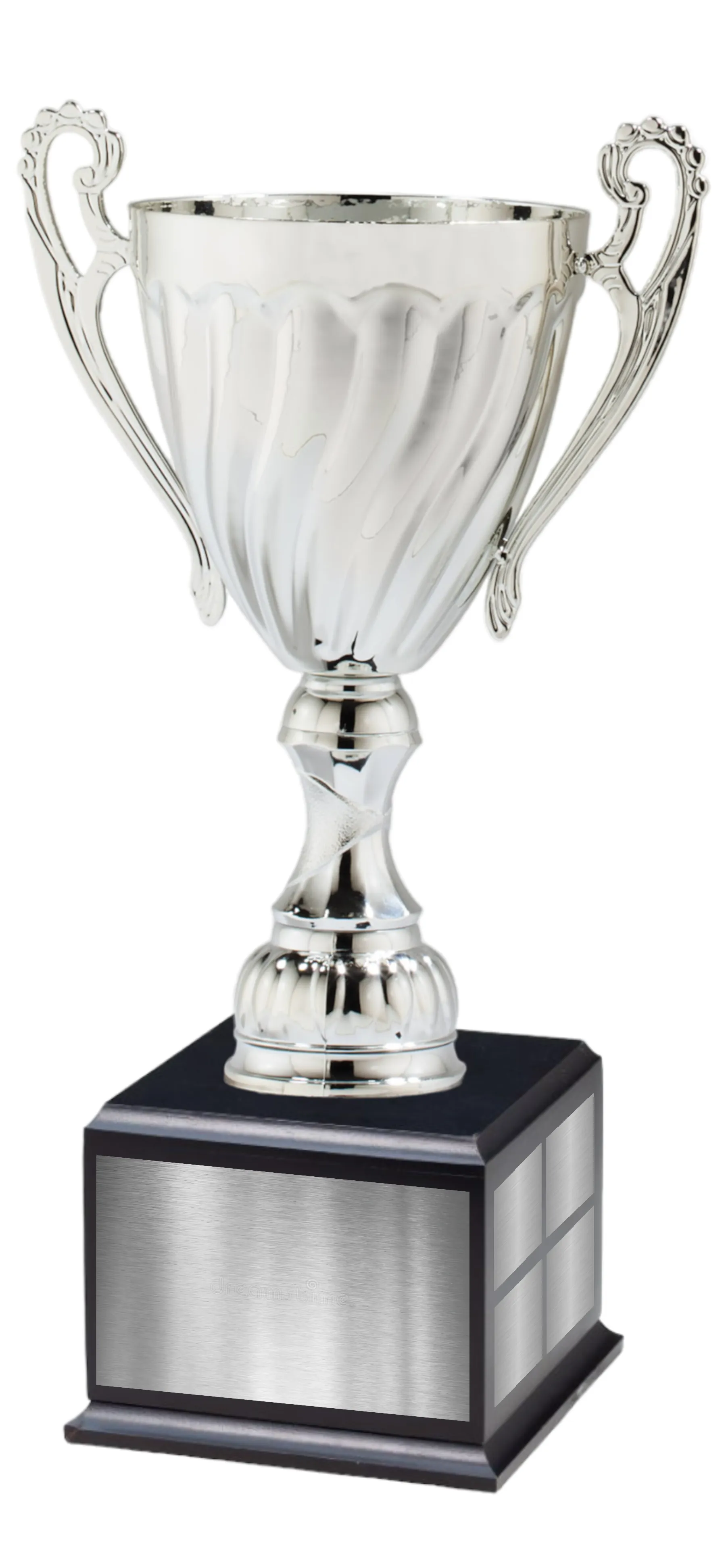 Silver Metal Cup w/ Black Perpetual Base 5