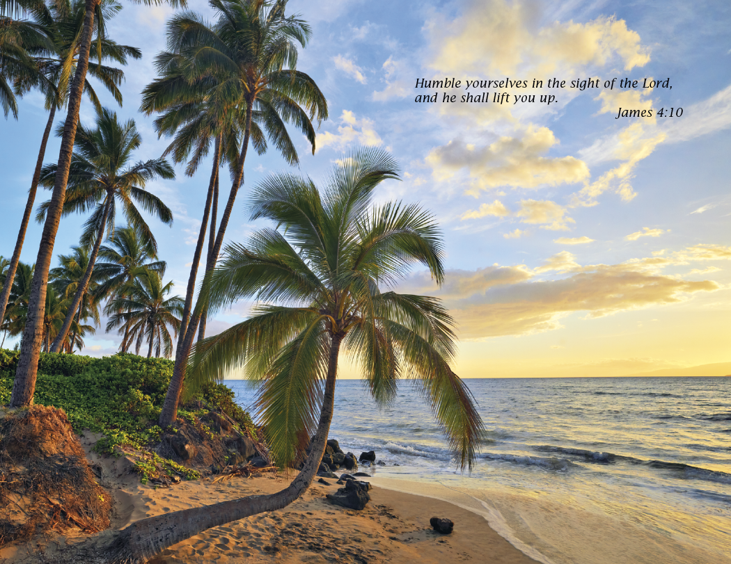Triumph® Calendars Bible Passages Calendar 49