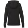tentree Organic Cotton Banshee Hoodie - Women's 96