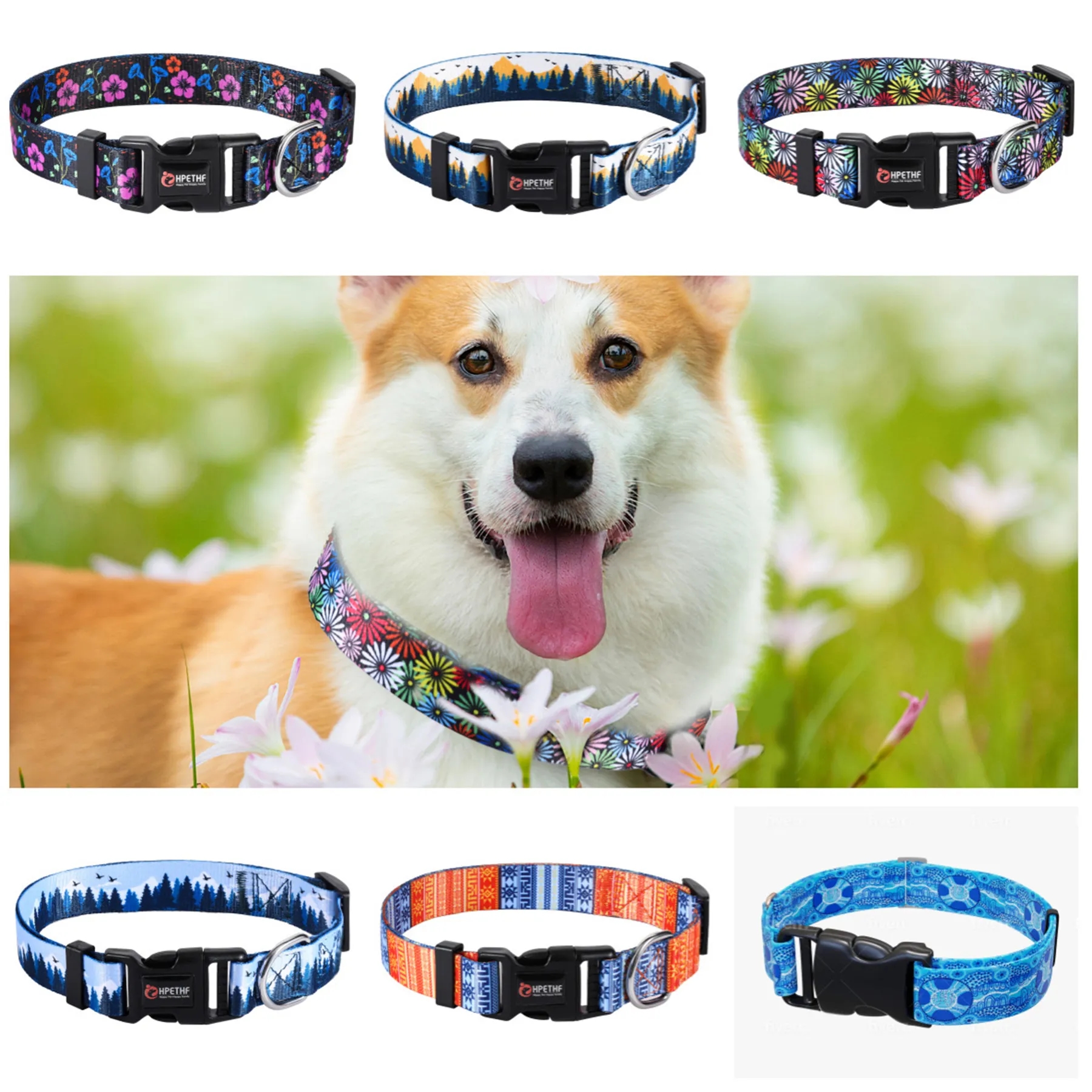 Customized Adjustable Dog Collar 1