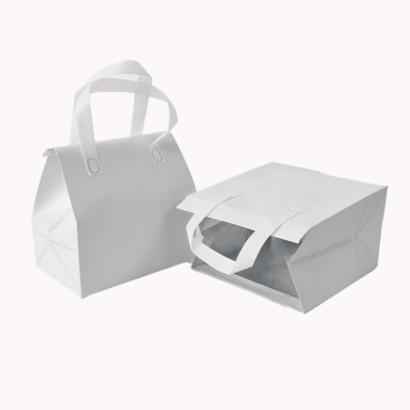 Aluminium Foil Insulation Bag 4