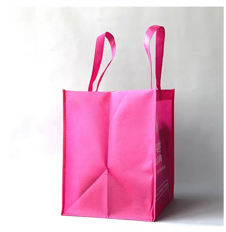 Non Woven Shopping Bag 3
