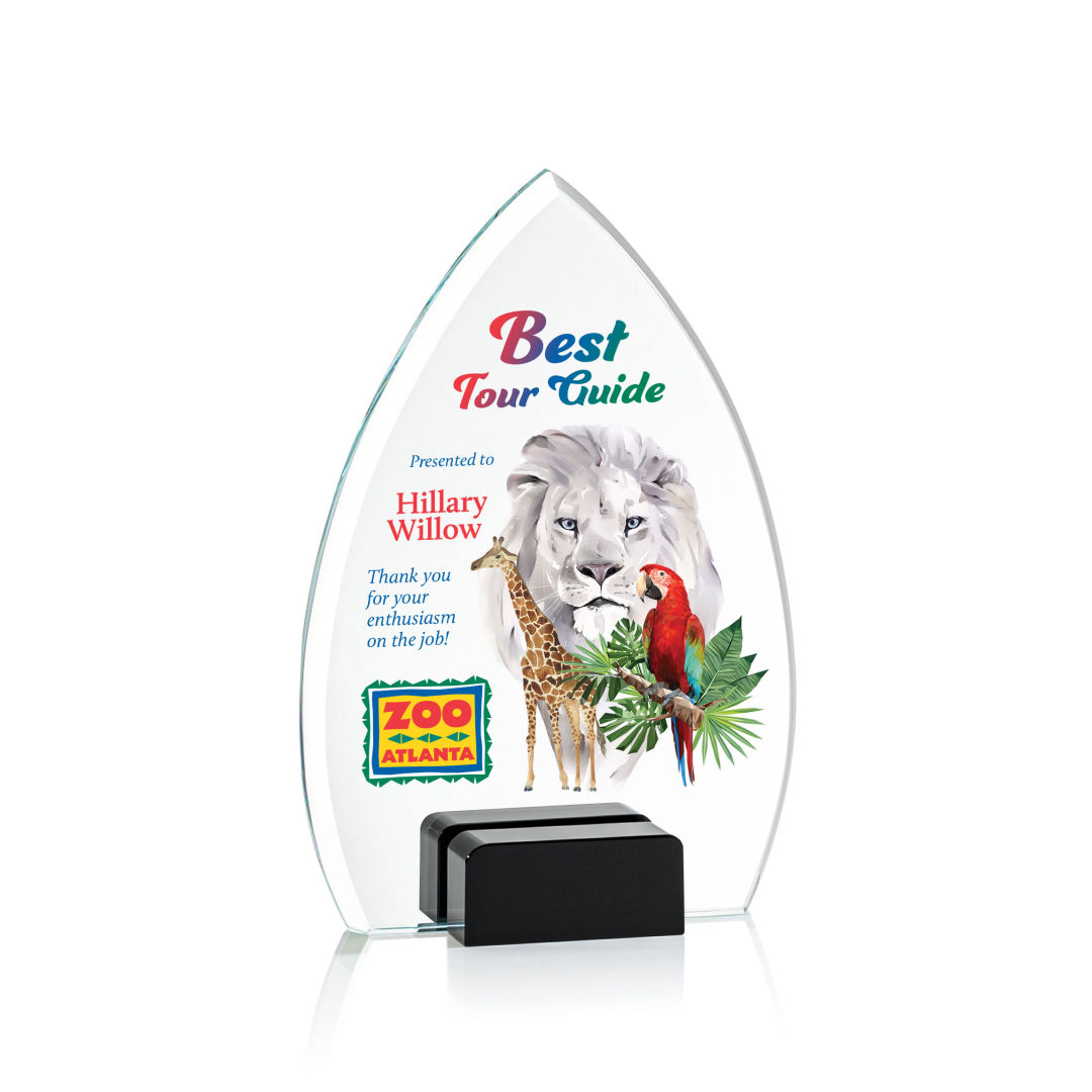 Aylin VividPrint™ Award - Black 8
