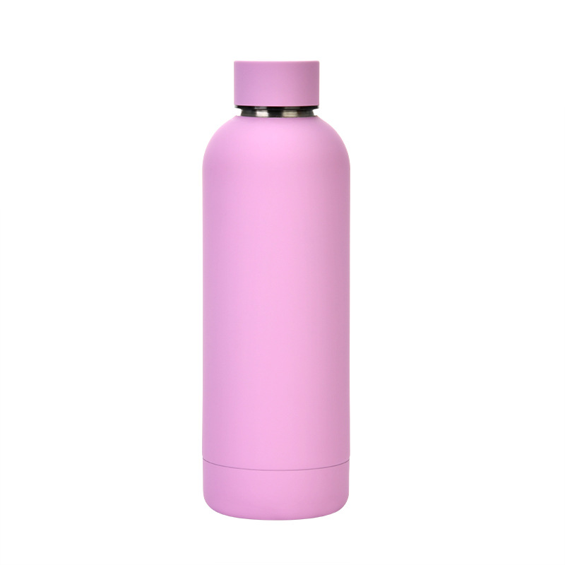 Stainless Steel Water Bottle 27