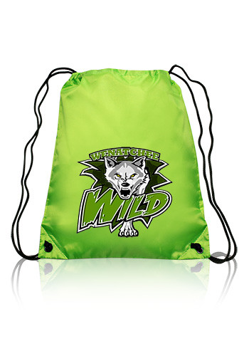 Classic Polyester Drawstring Bags 16