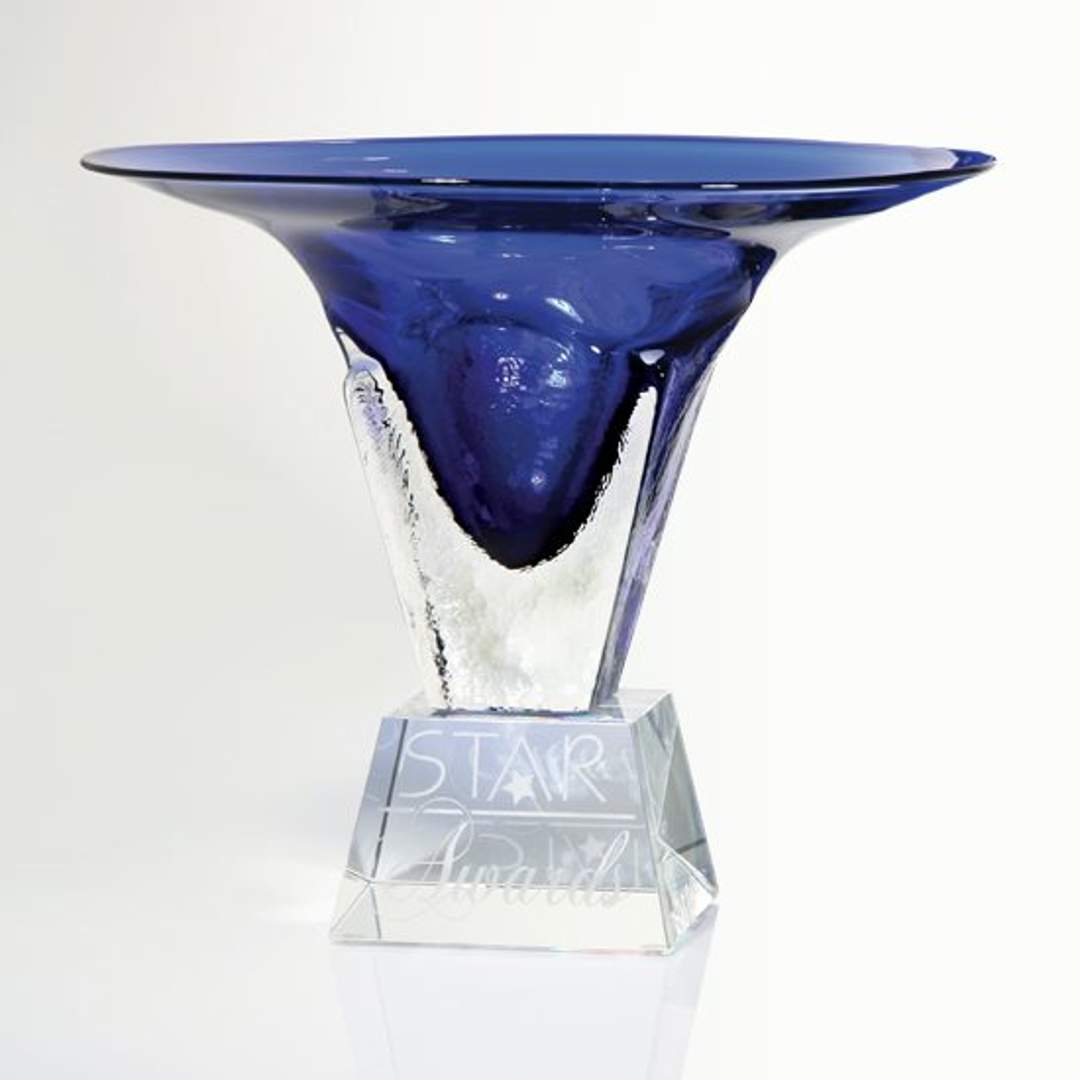 Indigo Trumpet Awards 3