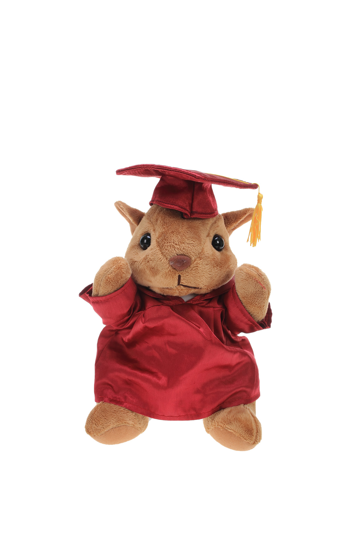 Soft Plush Sitting Squirrel with Graduation Cap & Gown 2