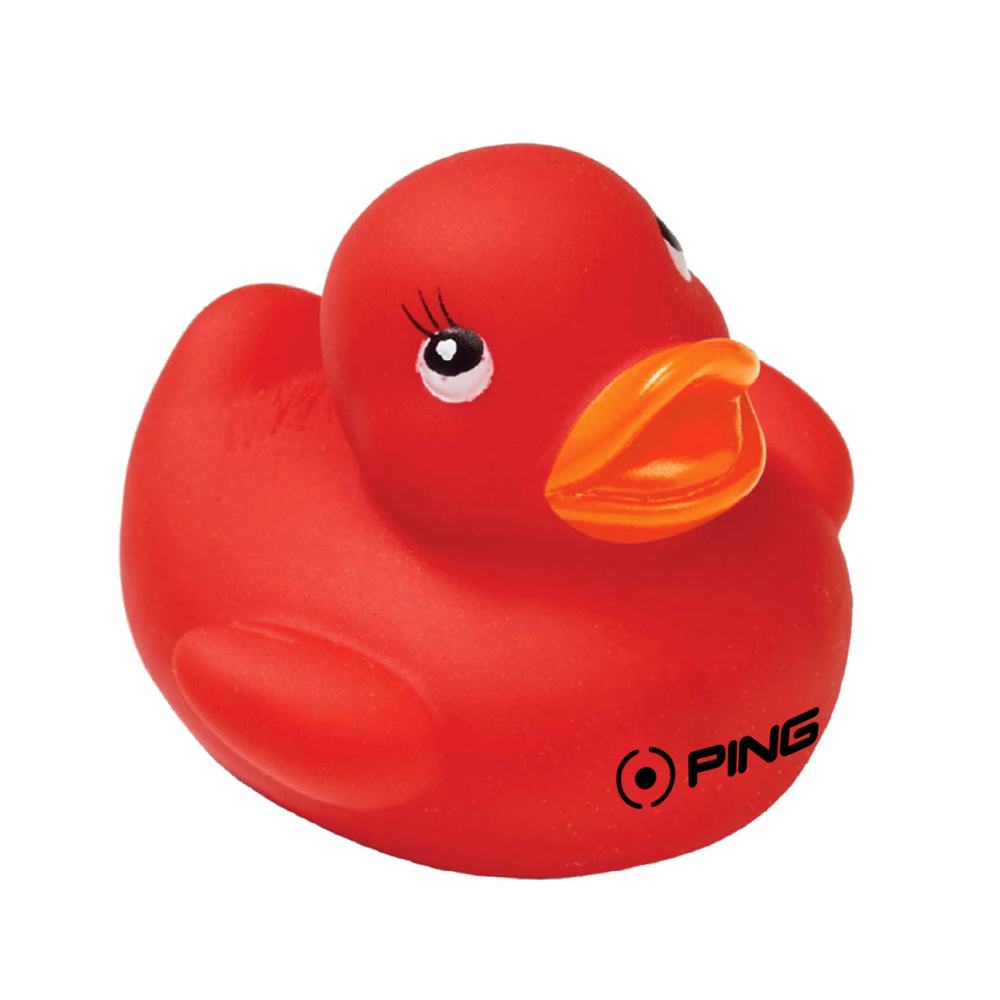 Colorful Duck 5