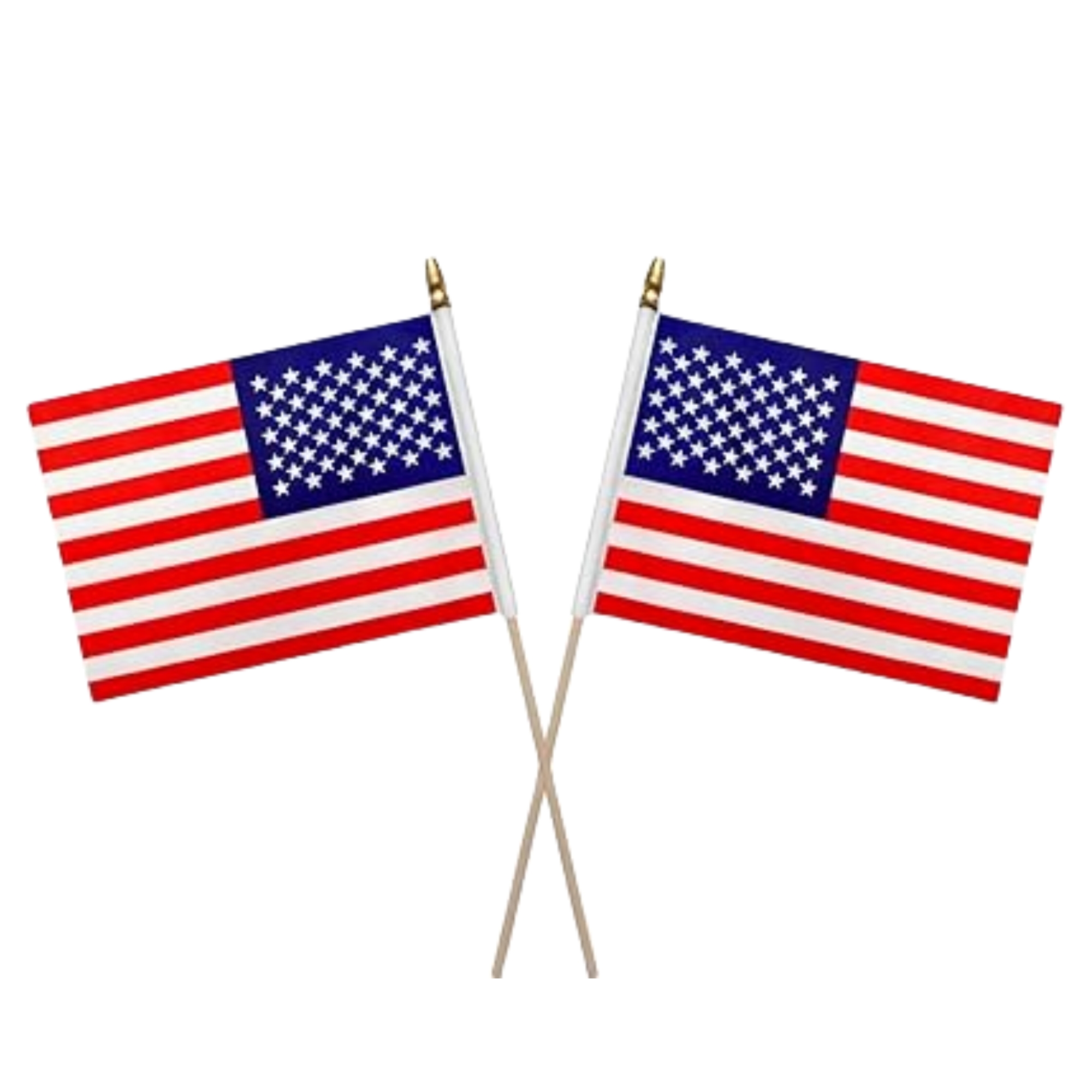 4"??6" Full-Color Double-Sided Printing Handheld Flag 3
