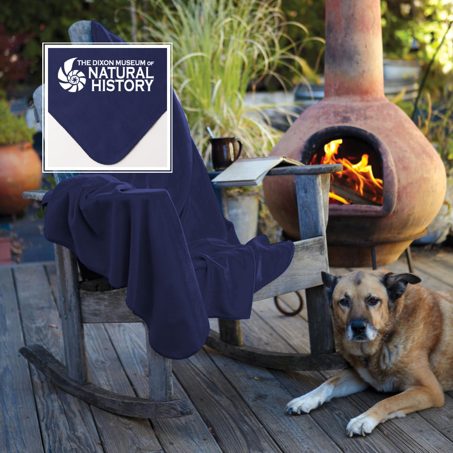 Fleece Throw 26