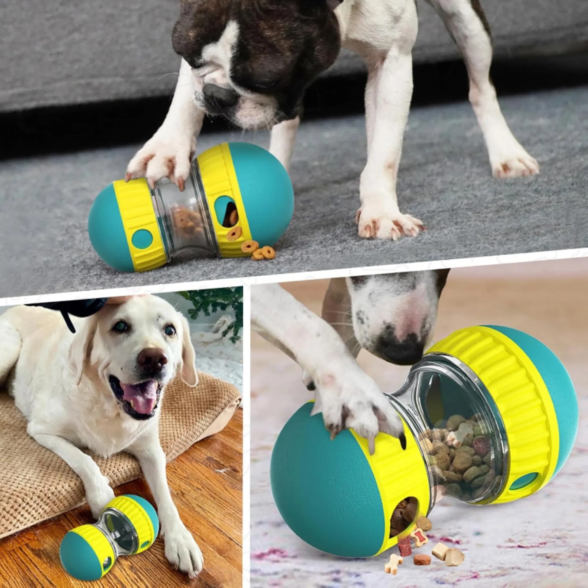 Pet Training Toy Rolling Feeder Free Shipping 4