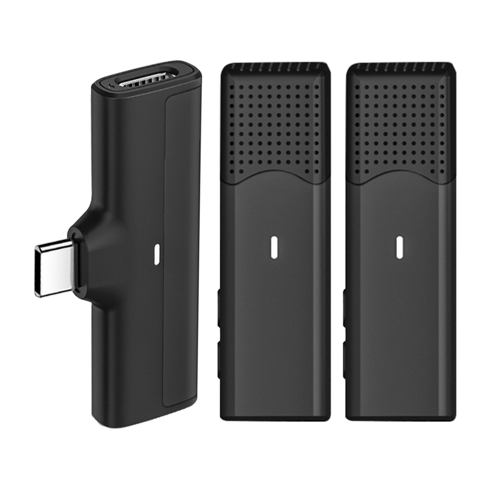 Wireless microphone 12