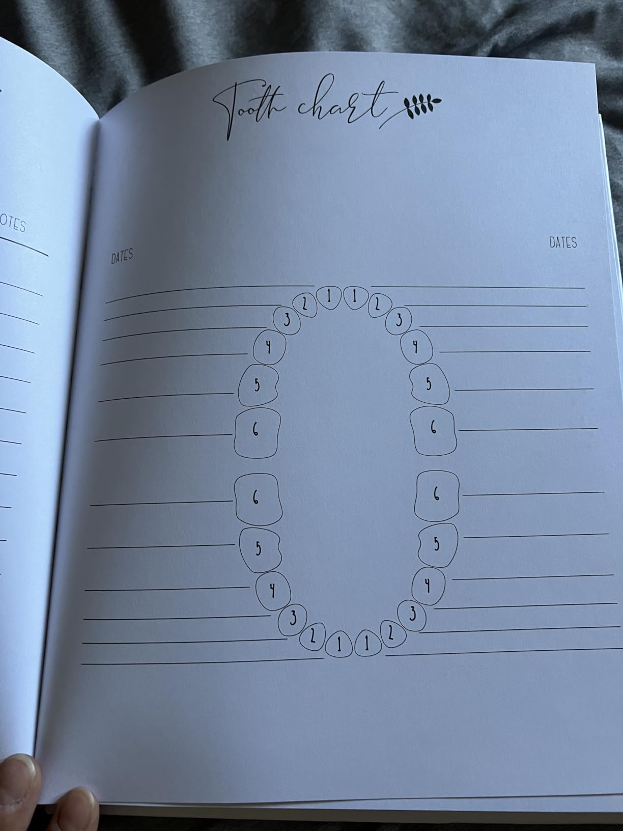 Baby Memory Book 8
