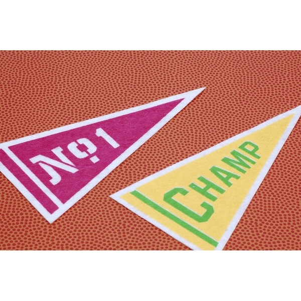 17" x 40" Wool Felt Pennant without Pole - Class C 1