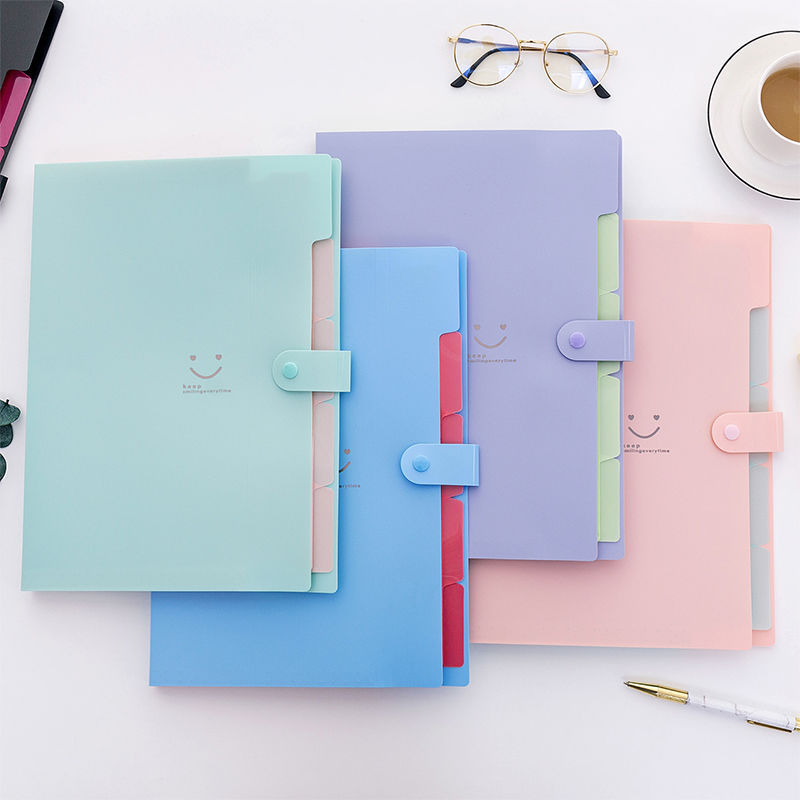 Colored Expanding File Folder 5