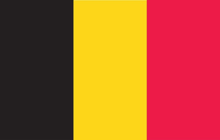 Belgium Flag - 4' x 6' - Nylon 1