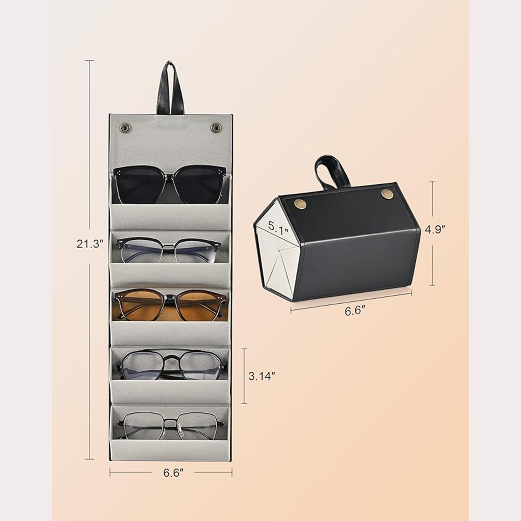 Sunglass Case 3