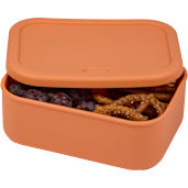Silicone Food Storage Box with Air Valve 44oz 131