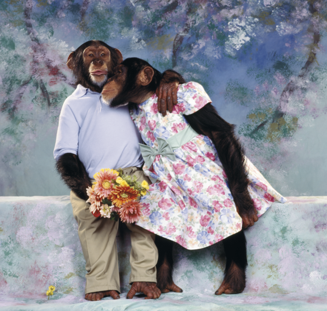 Triumph® Calendars Monkey Business Calendar 24