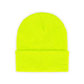 Berne Heritage Cuff Beanie 104