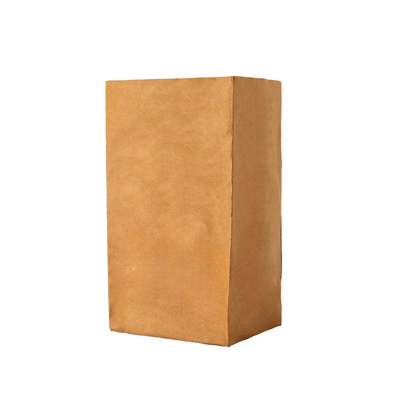 Washable Kraft Paper Storage Bag 1