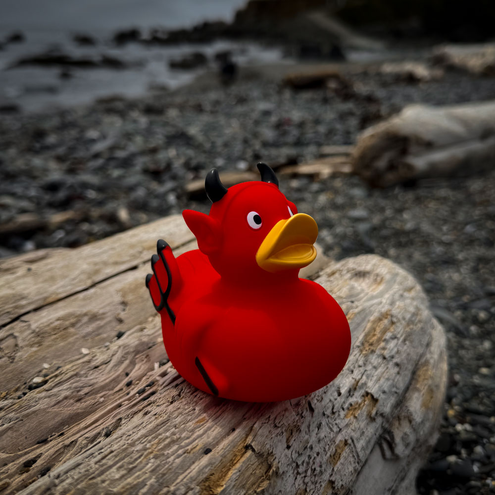 Devil Duck 9