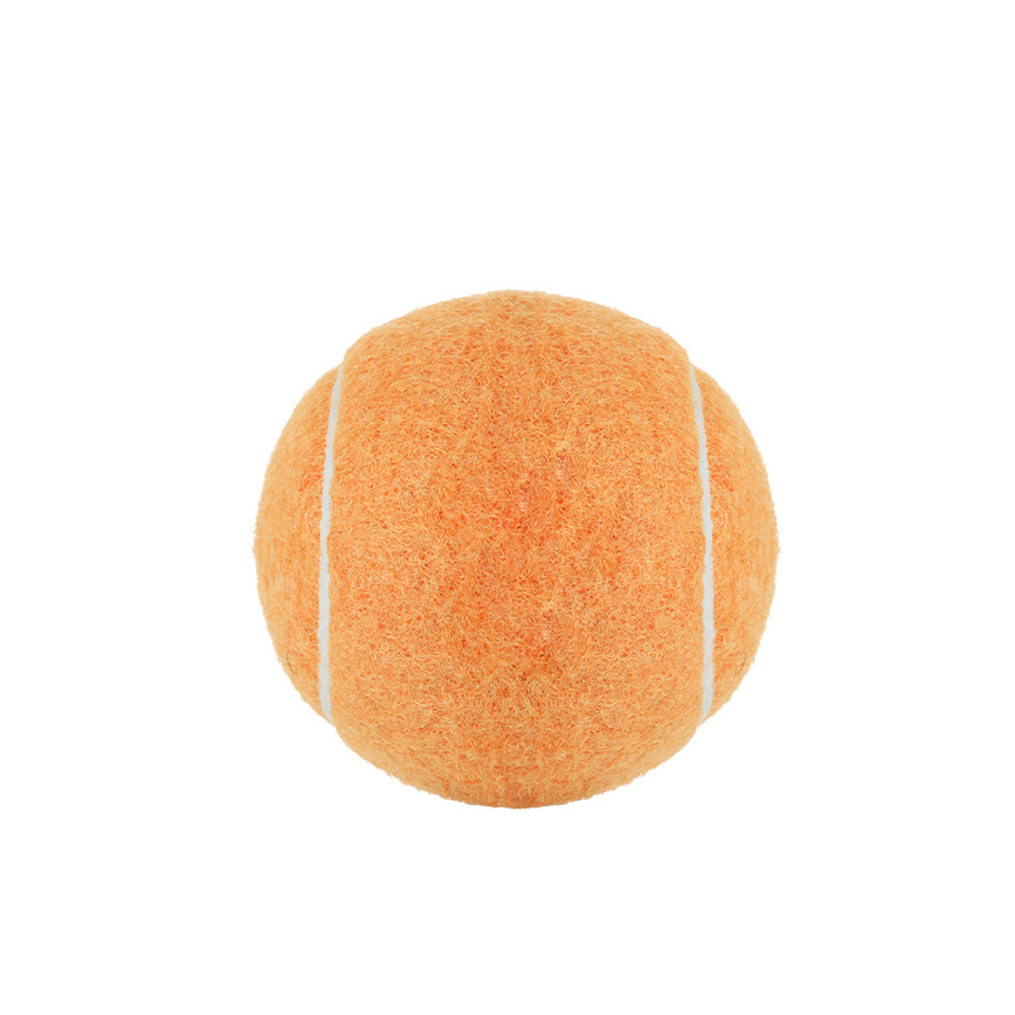 Pet Training Tennis Ball 2.5" Diameter 16