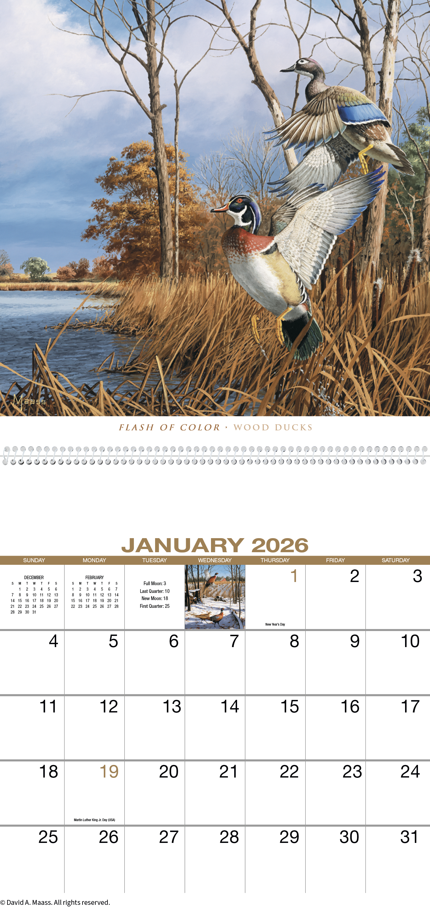 HotLine® Products David Maass Executive Calendar 28