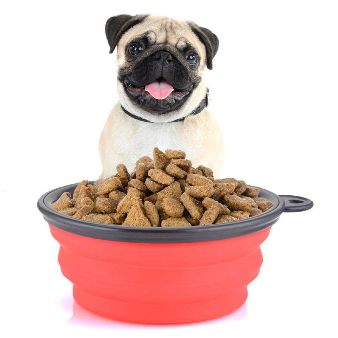 Collapsible Silicone Pet Bowl 3