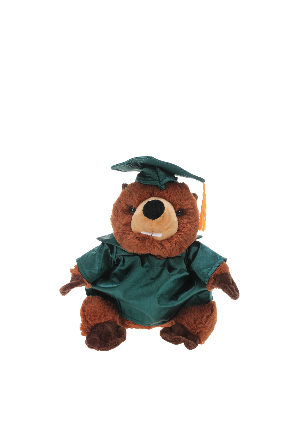 Soft Plush Beaver with Graduation Cap and Gown 5