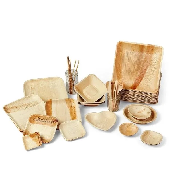Wholesale Eco-Friendly Palm Leaf Plates 5