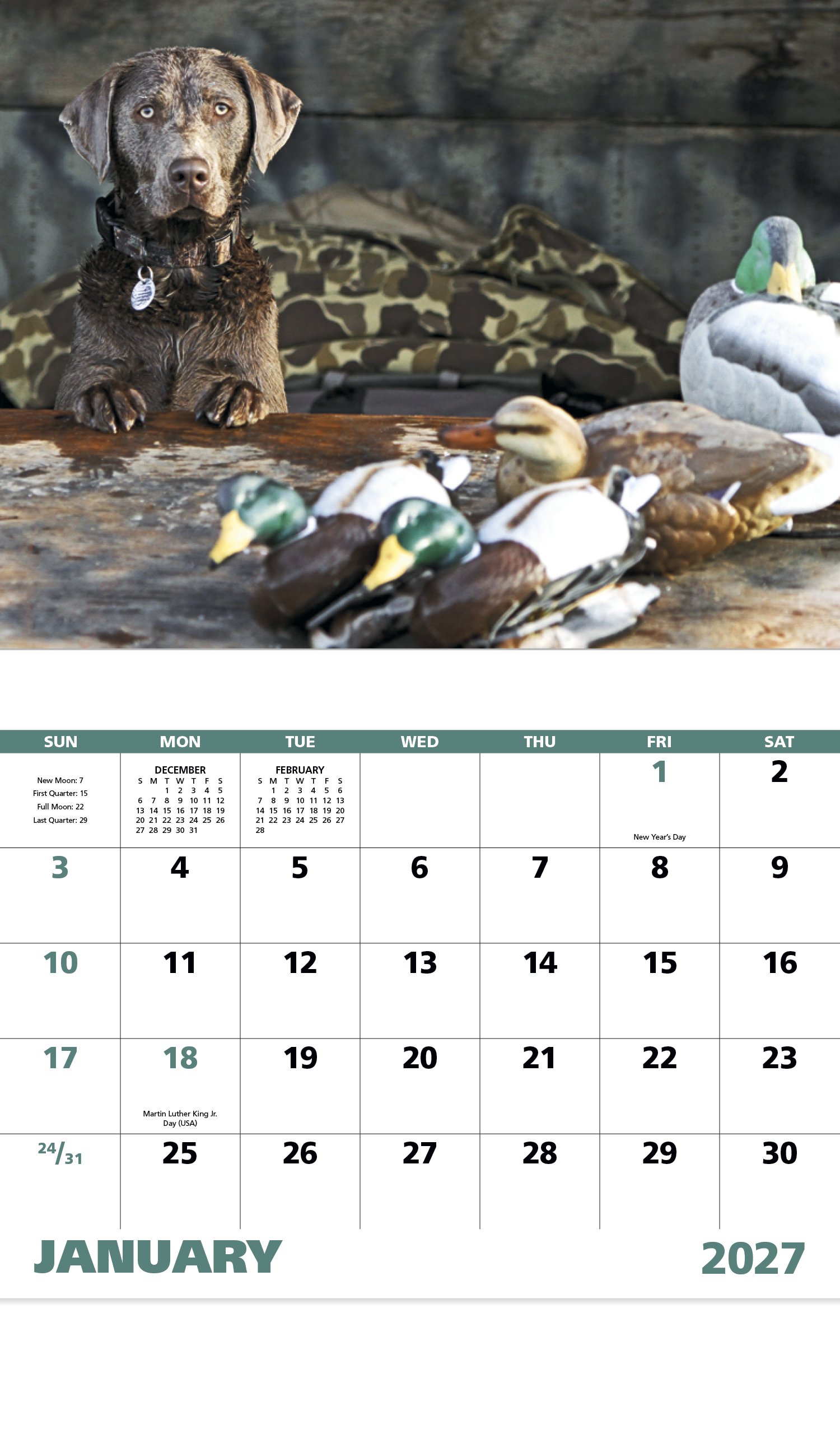 Good Value™ Sporting Dogs - Stapled Calendar 47