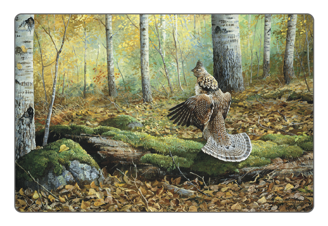 Triumph® Calendars Wildlife Art Pocket Calendar 28