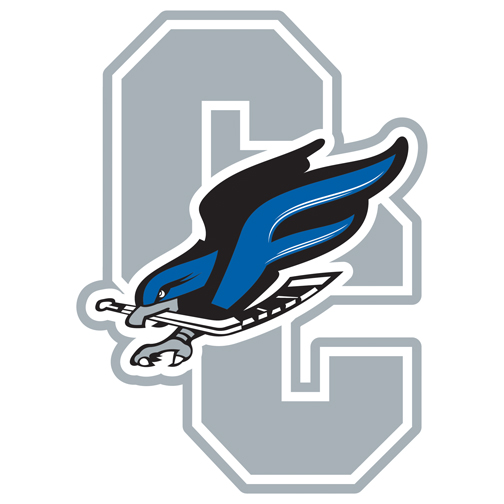 Die-Cut 90.1 to 100 Sq In Custom Shape Car Magnet 2