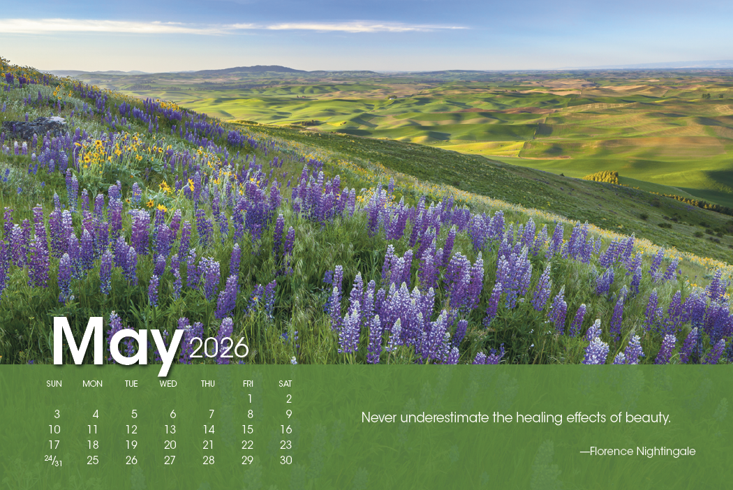 Triumph® Calendars Scenic Moments Large Desk Calendar 25