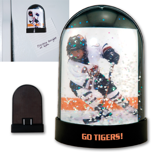 Magnetic Snow Globe